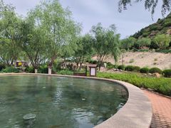 -玉龙沙湖景区