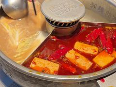-巴奴毛肚火锅(二七万达店)