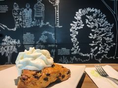 蜂蜜提子思康-星巴克(深圳世纪汇分店)