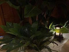 -紫莲花足道(柯桥古镇店)