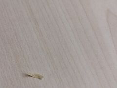 -7分甜(尹山湖歌林公园店)