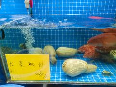 -醉壹号海鲜大排档(厦门美食地标店)