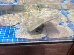 -七鲜超市(通州ONE店)