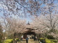 -牛首山文化旅游区