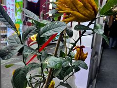 -司徒世家·兵马司林粽球(牌坊街店)