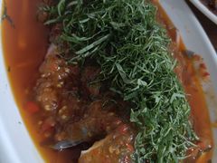 -老字号怡玺·藿香雅鱼(20年雅安店)