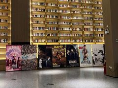 -深影国际影城(学院南路店CGS中国巨幕店)