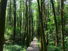 -同里国家湿地公园