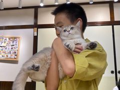 -逗柴咖啡屋·狗咖猫咖宠物桌游