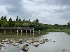 -上海吴淞炮台湾国家湿地公园