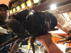 Crabzilla-Ministry of Crab(科伦坡店)