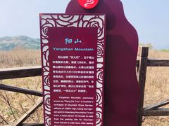 -阳台山自然风景区