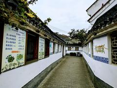 -金山嘴渔村