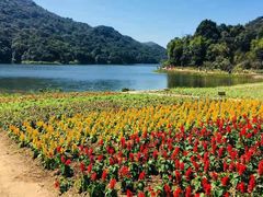 -广州市石门国家森林公园