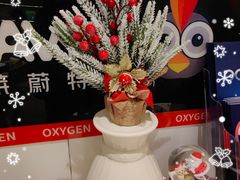 -燕庭·纯燕窝·甜品下午茶(南京西路店)