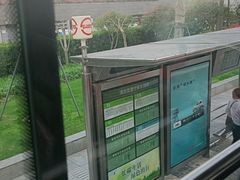 -BUS TOUR观光巴士