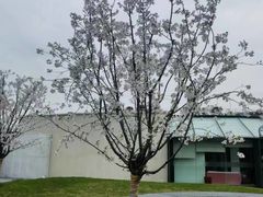 -东钱湖旅游度假区