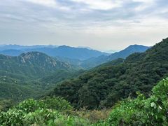 -大岭沟猕猴桃谷风景区