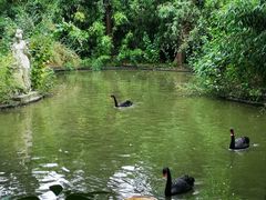 -镇江市南山风景名胜区竹林景区