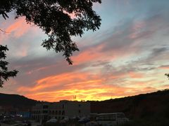 -青松大叔的店(东财店)