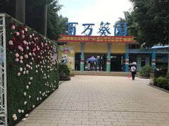 -百万葵园