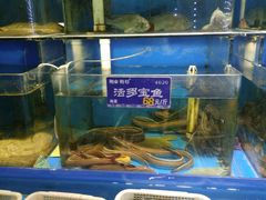 水产区-粥全粥到海鲜家常菜·海肠捞饭(嫩江路店)