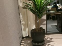 -徐记海鲜(高铁南站|沙湾公园店)