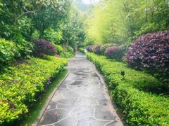 -腾冲洞山温泉村