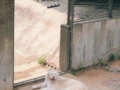 -石家庄市动物园