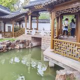 扬州这副画好美，自然之美展现华夏民族魅力！🌿🍀