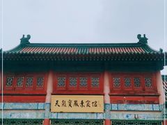 -天龙宝严素食馆(大兴善寺店)