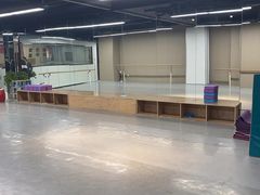 -舞蕾舞蹈(特长生校区)