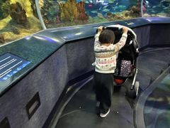 -瑞普利水族馆