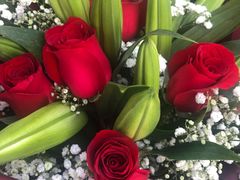 -循礼门鲜花花市(武汉循礼门店)