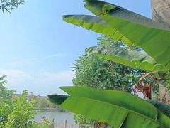 -杏花村文化旅游区