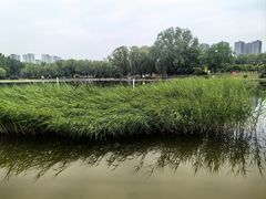-太阳宫公园