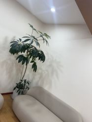 -HEYAN荷妍专业脱毛连锁机构