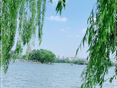 -济南大明湖景区