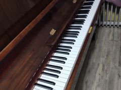 -弘智卉艺术教育/高端琴房(中央音乐学院店)