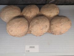 -湖南省地质博物馆