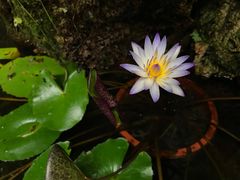 -鱼桥巷·美学川菜