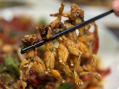 -辣螃铠盆盆蟹大排档(总店)