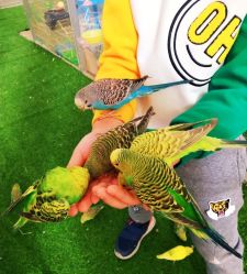 -萌宠亲子动物乐园(槐房万达店)