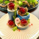 广州的……今年年夜饭餐厅就是这里了！！！
