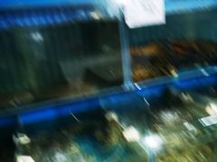 -云南巷海鲜大咖·可加工海鲜