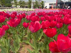-石家庄市植物园