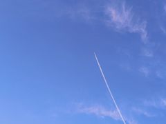 -天鹅湖体育公园