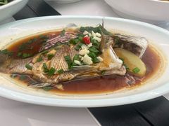 -胖大嫂渔家排档·全海景餐厅(渔村店)