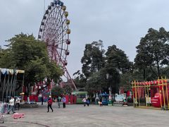 -南湖梦幻岛