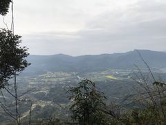 -鸡毛店·川菜(双楠店)